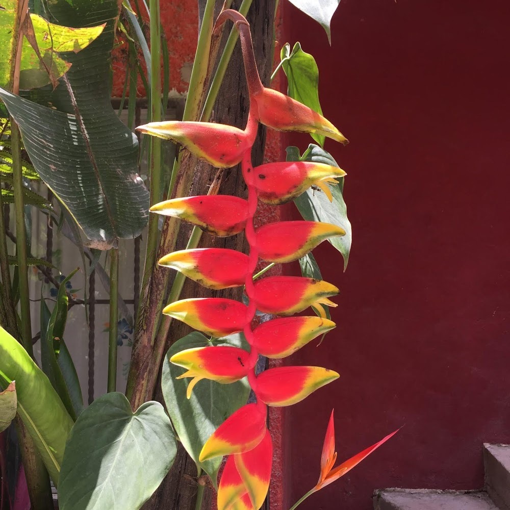 Meet your Posher, Marissa